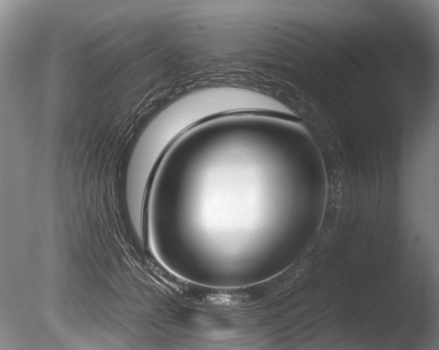 X0000086310558200703301154