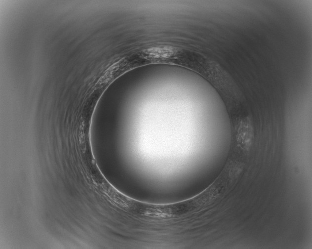 X0000086310559200703301154