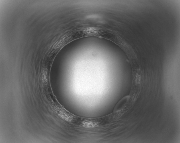 X0000086310561200703301154