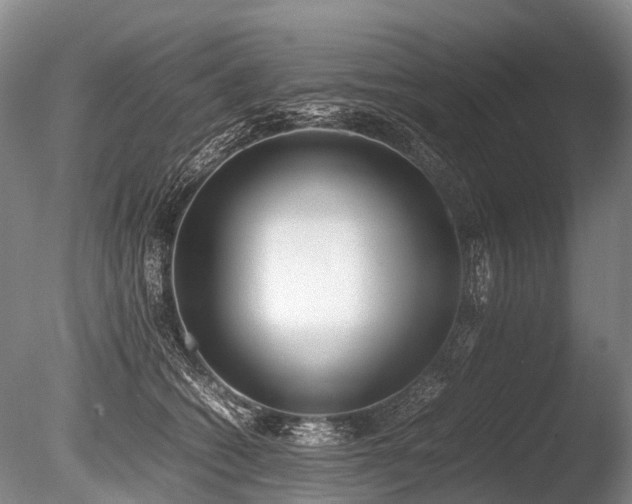 X0000086310562200703301154