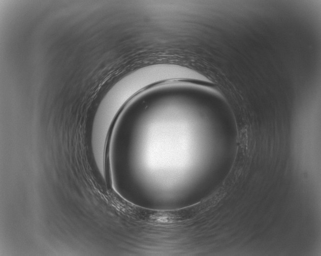 X0000086310564200703301154