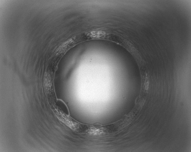 X0000086310569200703301154