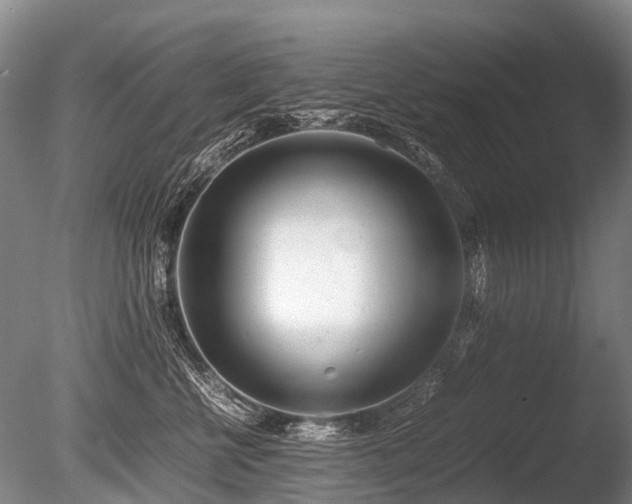 X0000086310570200703301154
