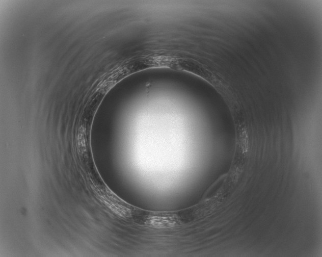 X0000086310571200703301154