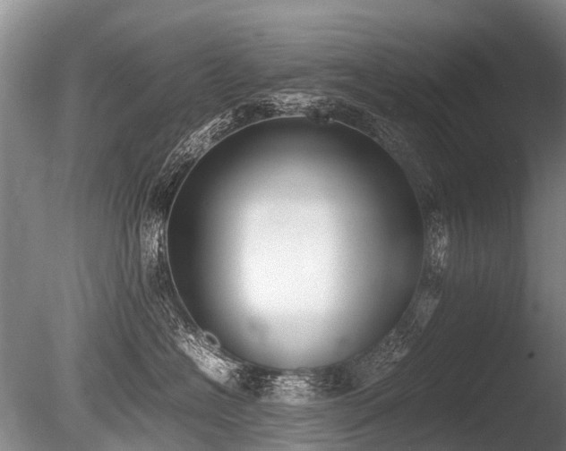 X0000086310574200703301154
