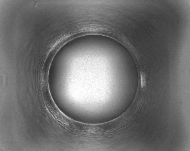 X0000086310579200703301153