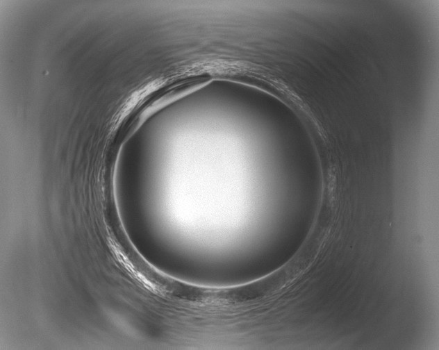 X0000086310581200703301153