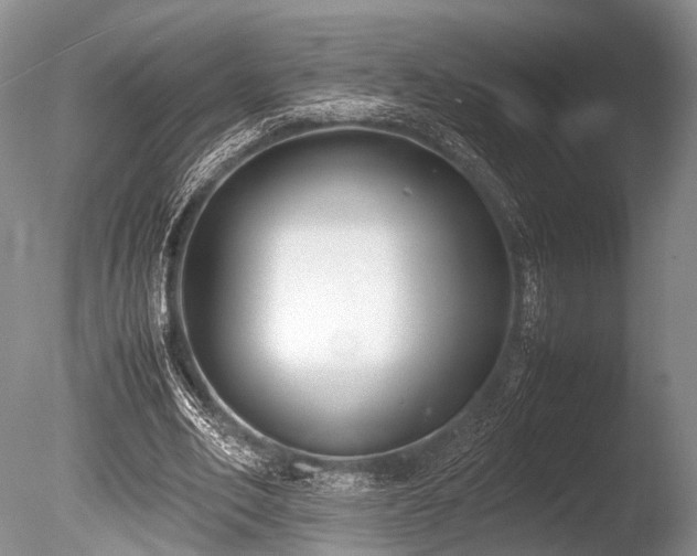 X0000086310582200703301153