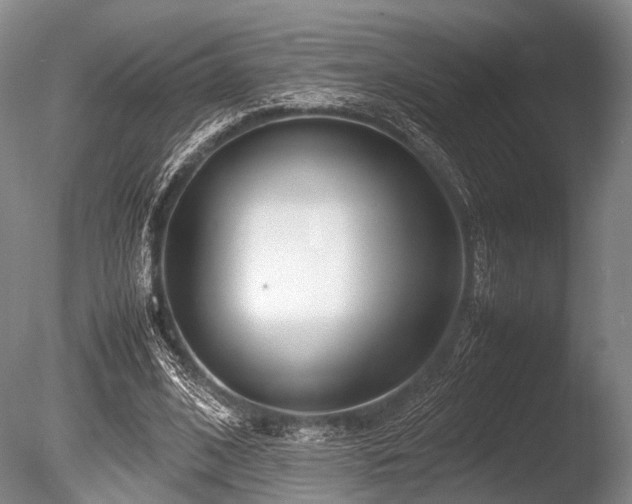 X0000086310584200703301153