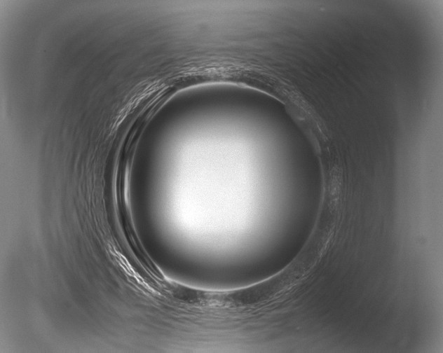 X0000086310585200703301153