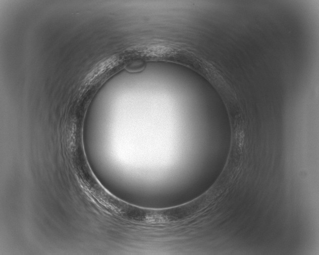 X0000086310591200703301153