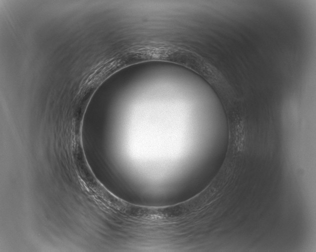 X0000086310594200703301153