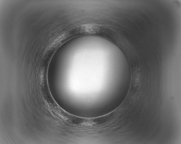 X0000086310595200703301153