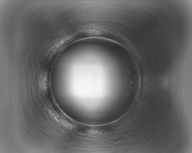 X0000086310596200703301153