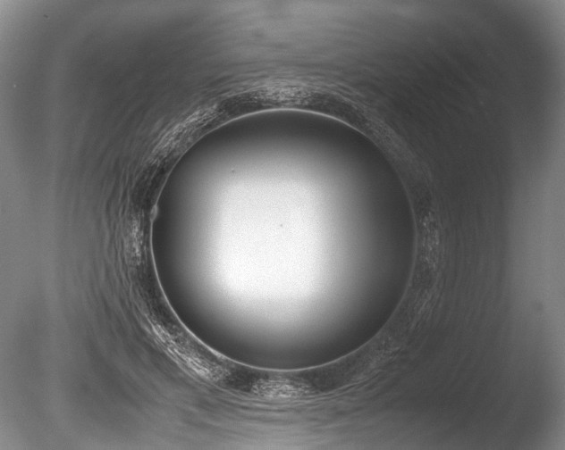 X0000086310597200703301153