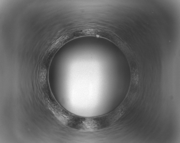 X0000086310603200703301153