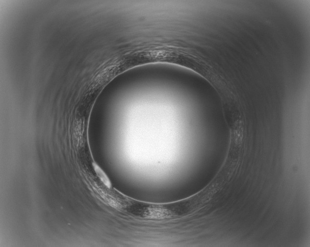 X0000086310605200703301153