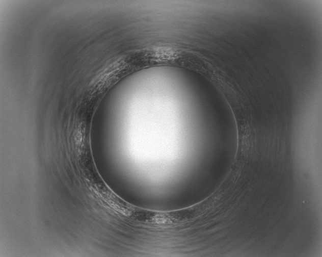 X0000086310608200703301152