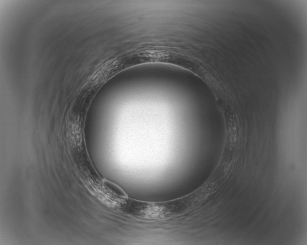 X0000086310609200703301152