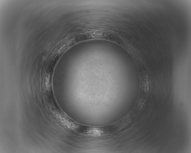X0000086310610200703301152