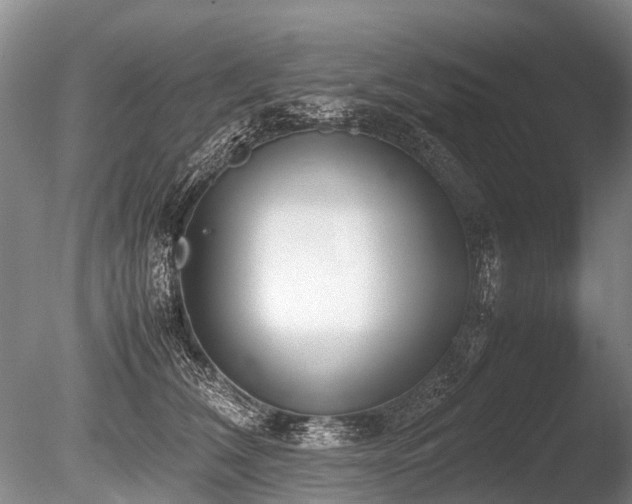 X0000086310612200703301152