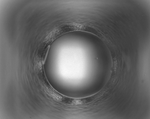 X0000086310613200703301152