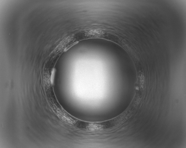 X0000086310617200703301152