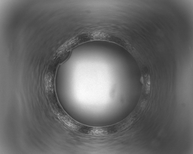 X0000086310619200703301152