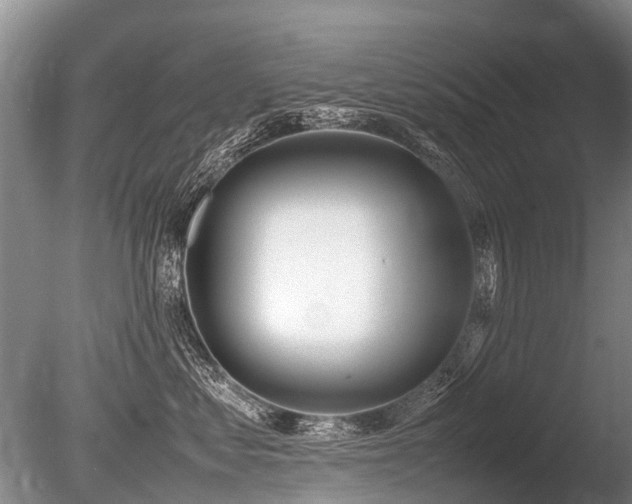 X0000086310621200703301152
