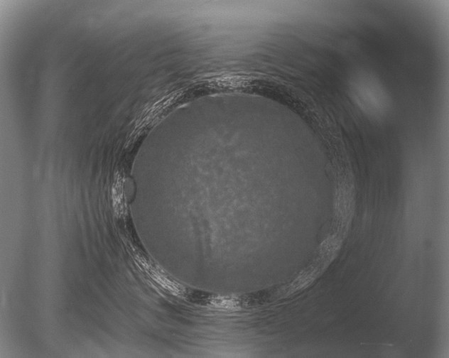X0000086310624200703301152