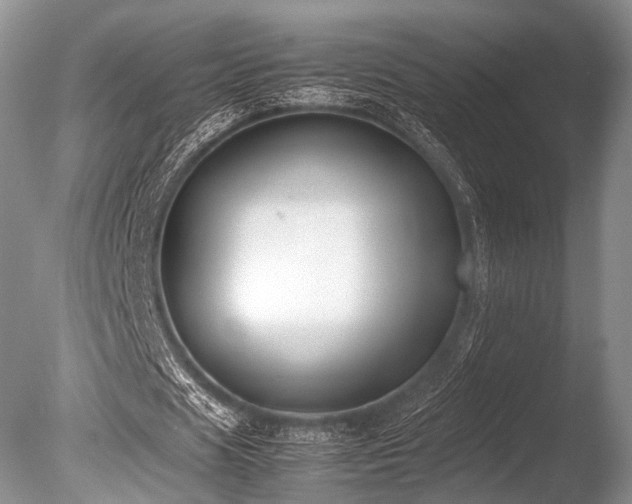 X0000086310625200703301151