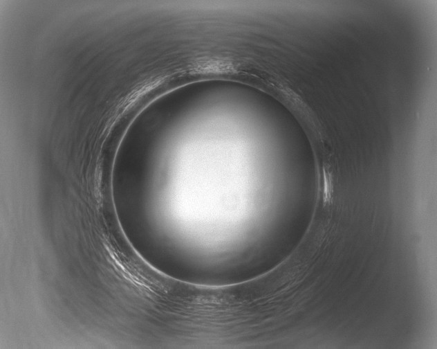 X0000086310627200703301151