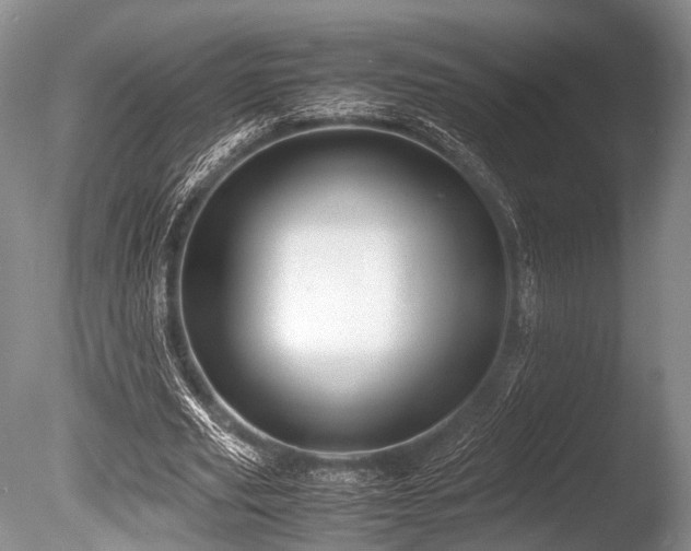 X0000086310629200703301151