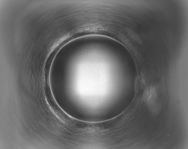 X0000086310630200703301151
