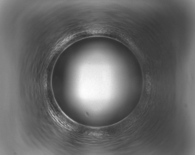 X0000086310631200703301151