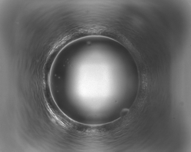 X0000086310634200703301152