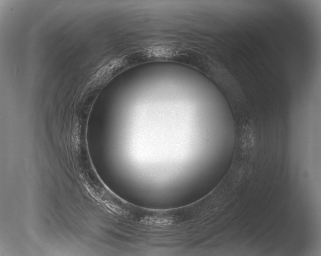 X0000086310639200703301152