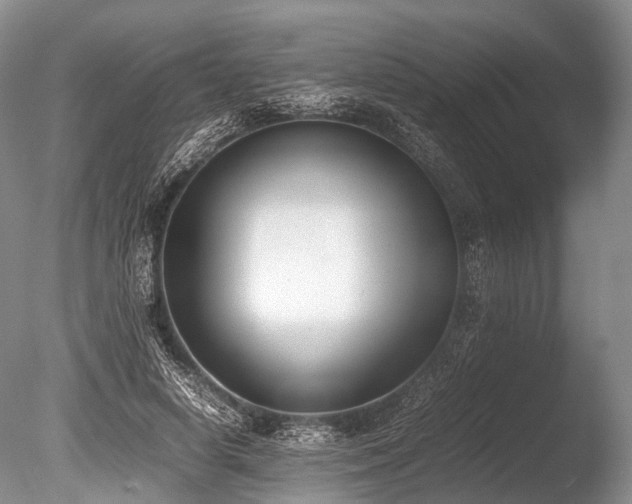 X0000086310642200703301152