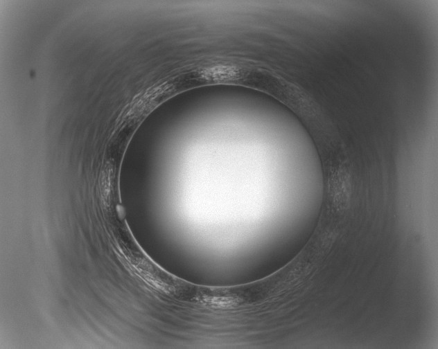 X0000086310645200703301152