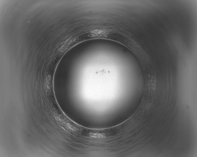 X0000086310649200703301152