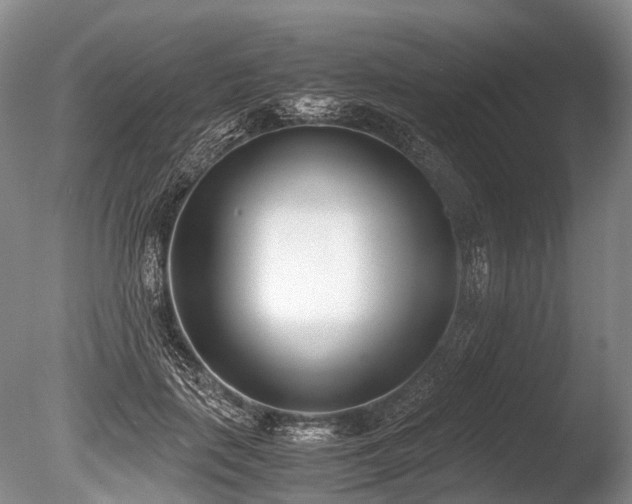 X0000086310651200703301152