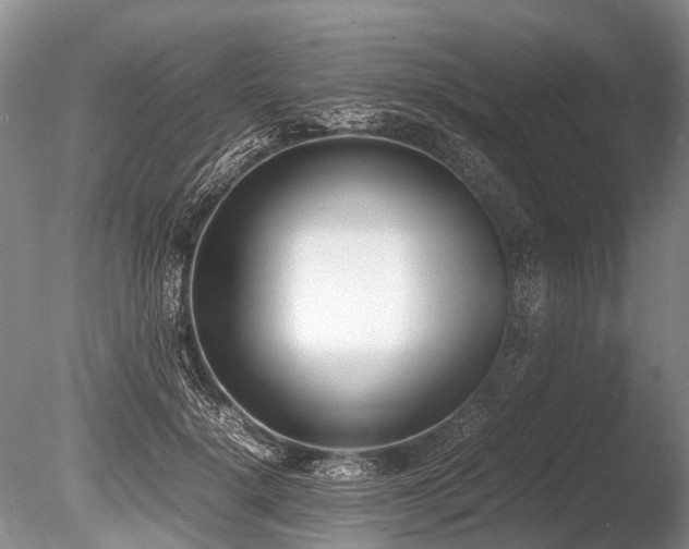 X0000086310652200703301152