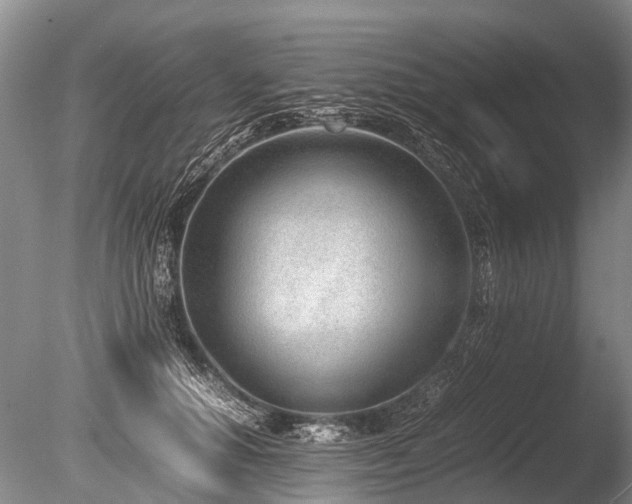 X0000086310654200703301152