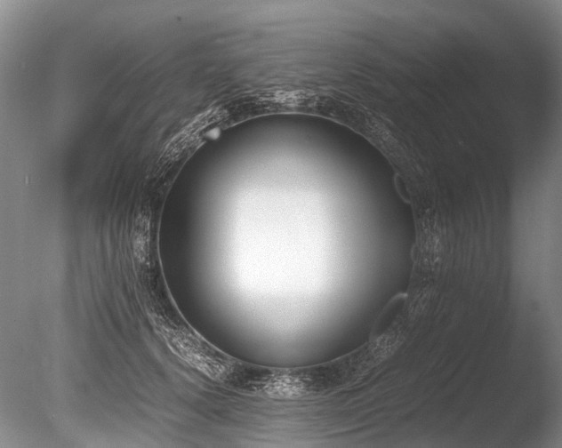 X0000086310656200703301152