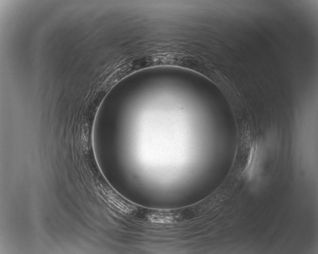 X0000086310661200703301152