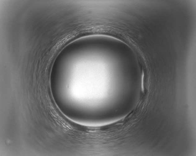 X0000086310673200703301151
