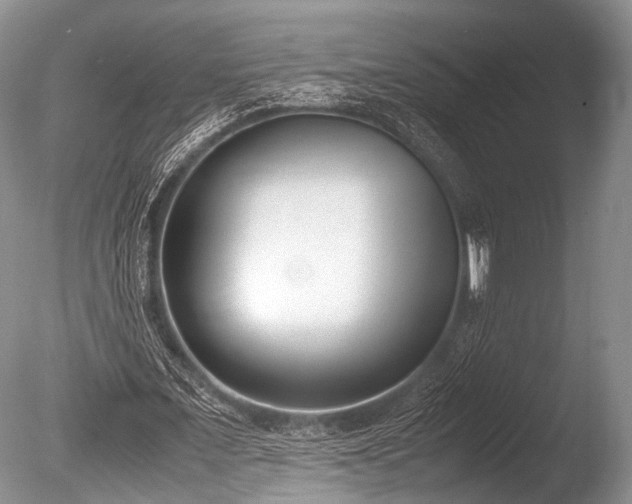 X0000086310675200703301151