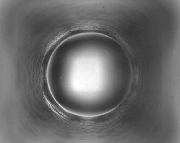 X0000086310677200703301151