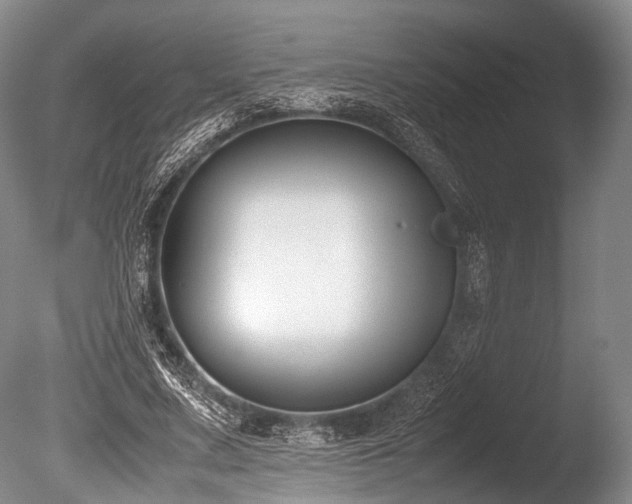 X0000086310683200703301151