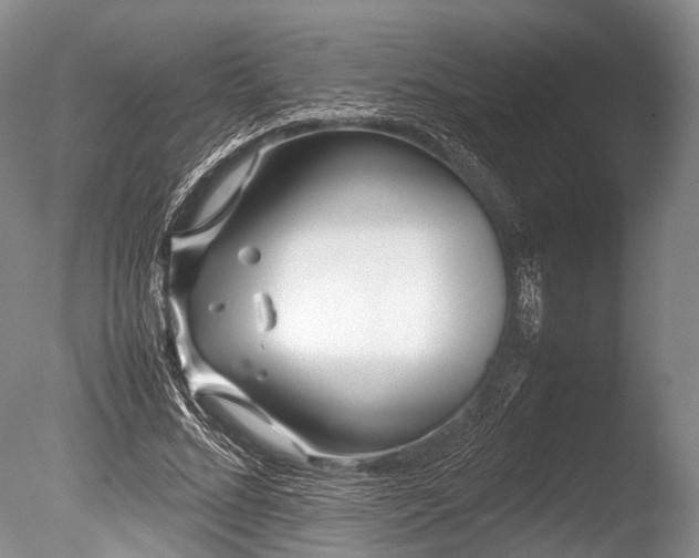 X0000086310684200703301151